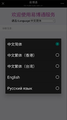 Варианты языка интерфейса eSender